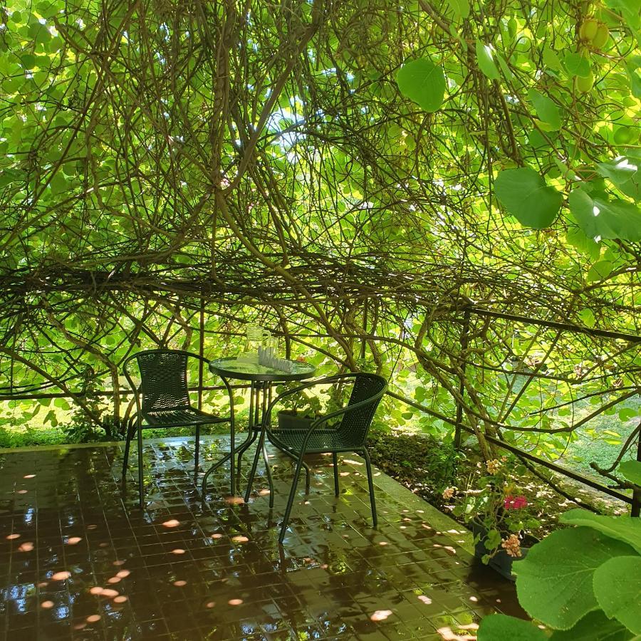 Sophie'S Guesthouse ชิโอฟก ภายนอก รูปภาพ