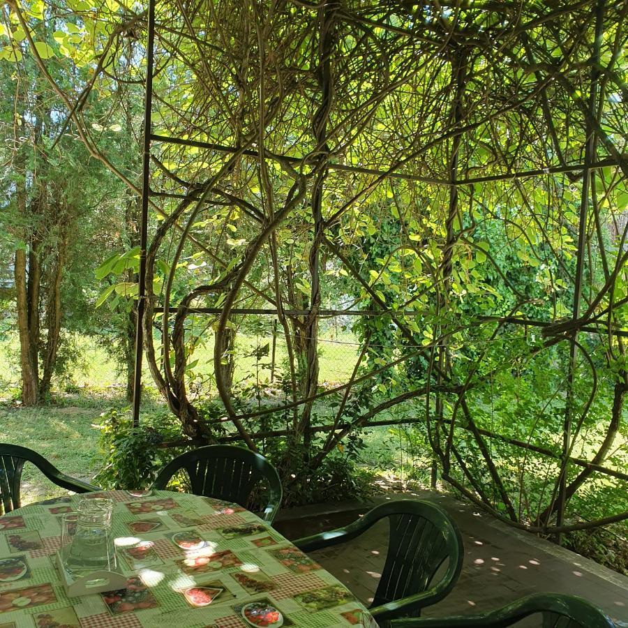 Sophie'S Guesthouse ชิโอฟก ภายนอก รูปภาพ